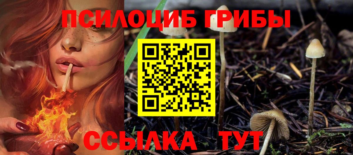 Псилоцибиновые грибы Psilocybine cubensis  Вход с VPN  Алейск  Псилоцибиновые грибы мухоморы 